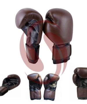 Boxing Gloves/100