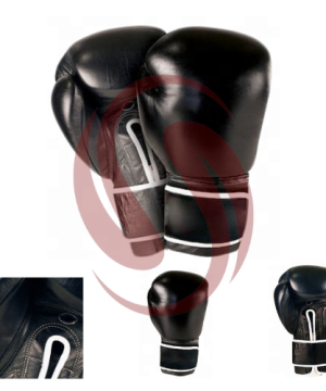 Boxing Gloves/101
